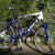 Vol VTT BH Over X Bleu et blanc